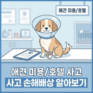 애견 미용호텔 사고 시 손해배상 청구 방법